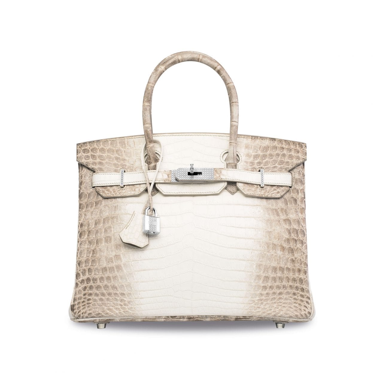 Is the Birkin Worth the Investment? The Vault