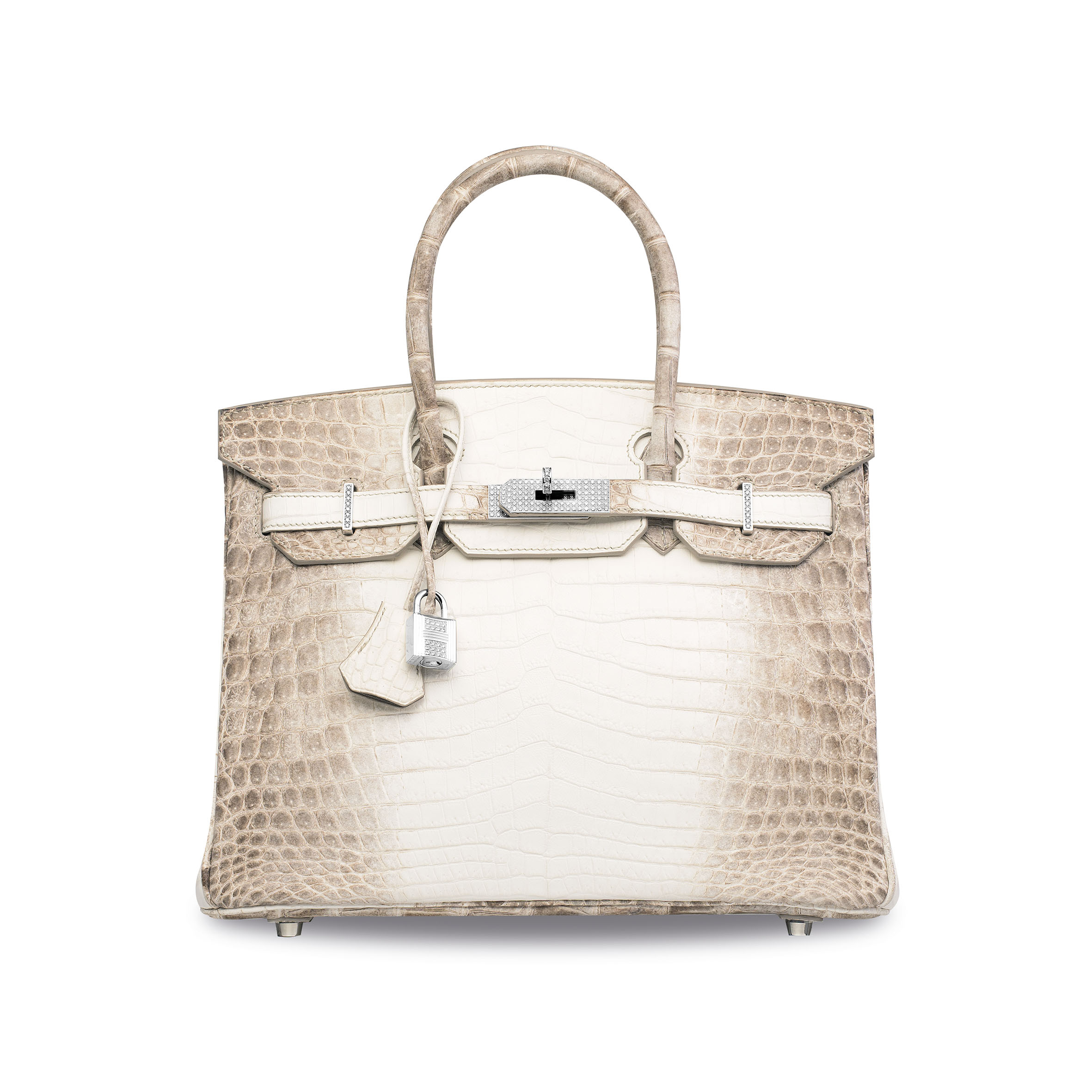 2016_HGK_12720_3019_000(an_exceptional_matte_white_himalaya_niloticus_crocodile_diamond_birkin)