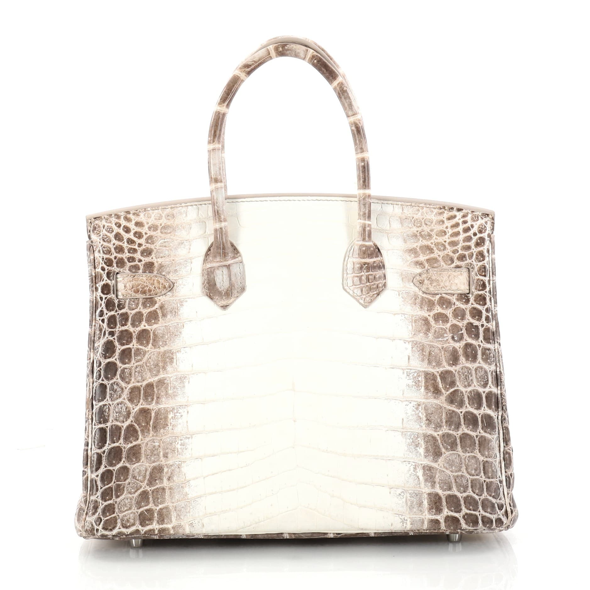 The Himalayan Birkin Hermes 101 Himalayan Birkin