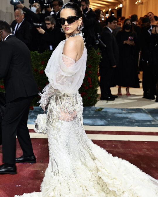 The Most Eye-Catching Looks of the 2022 Met Gala